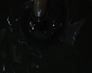 crni pigment